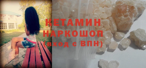 прущие грибы Абаза