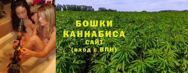 гидропоника Алзамай