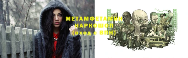 прущие грибы Абаза