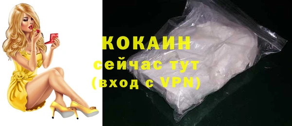прущие грибы Абинск