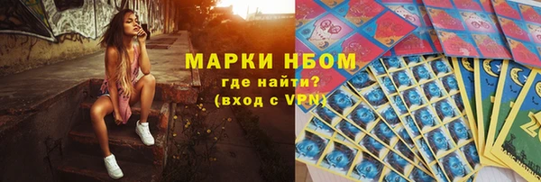 прущие грибы Абаза