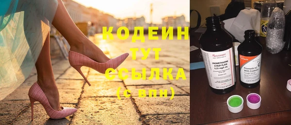 прущие грибы Абаза