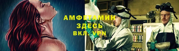 прущие грибы Абинск